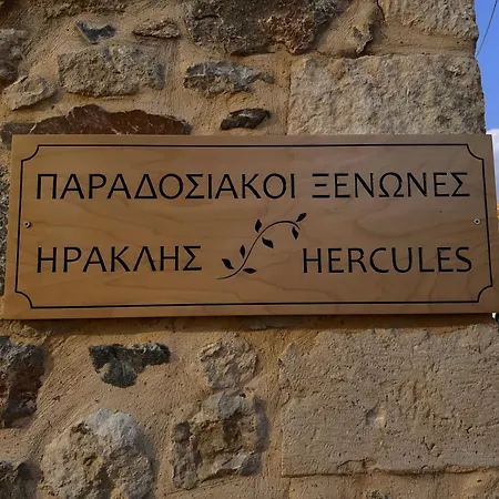 Hercules Traditional Galipe